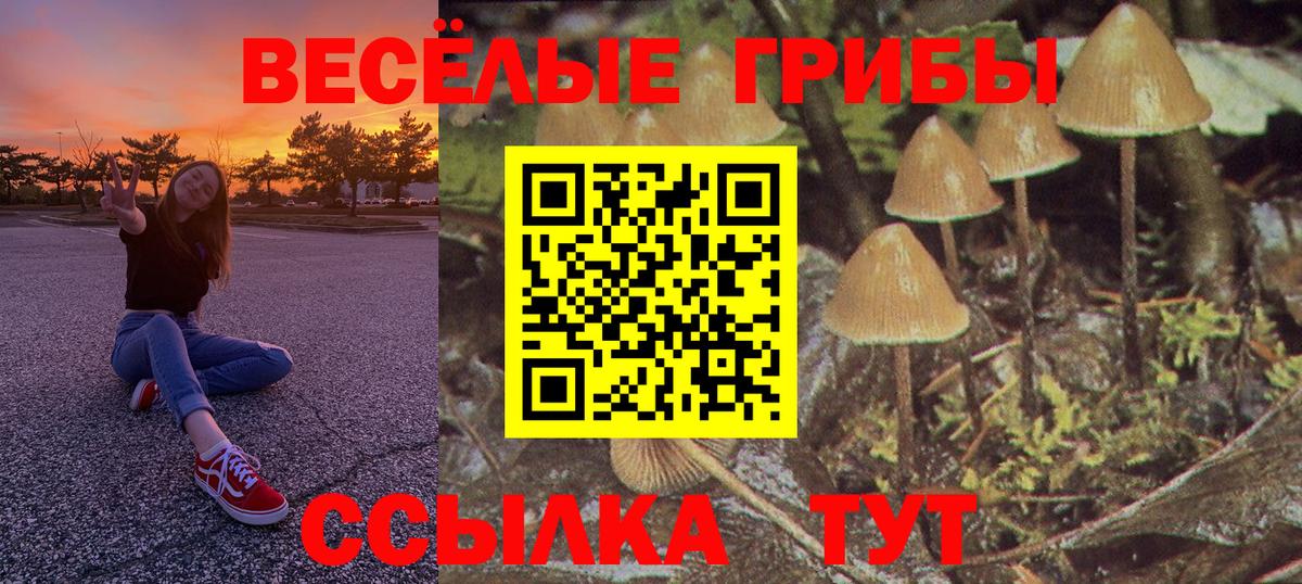 Галлюциногенные грибы GOLDEN TEACHER Ейск